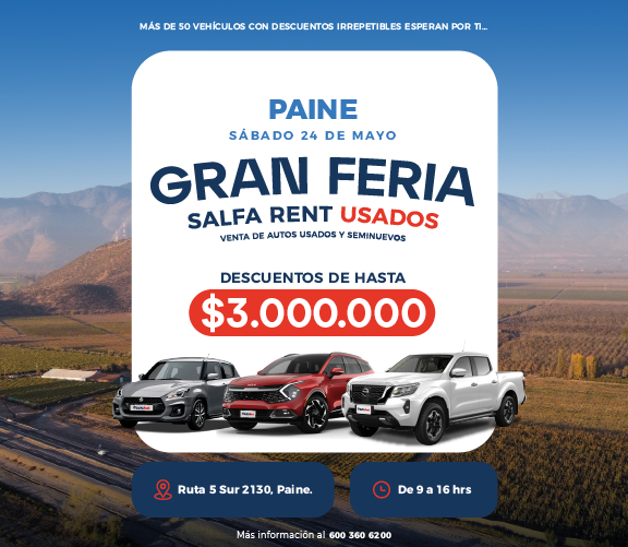 Feria paine